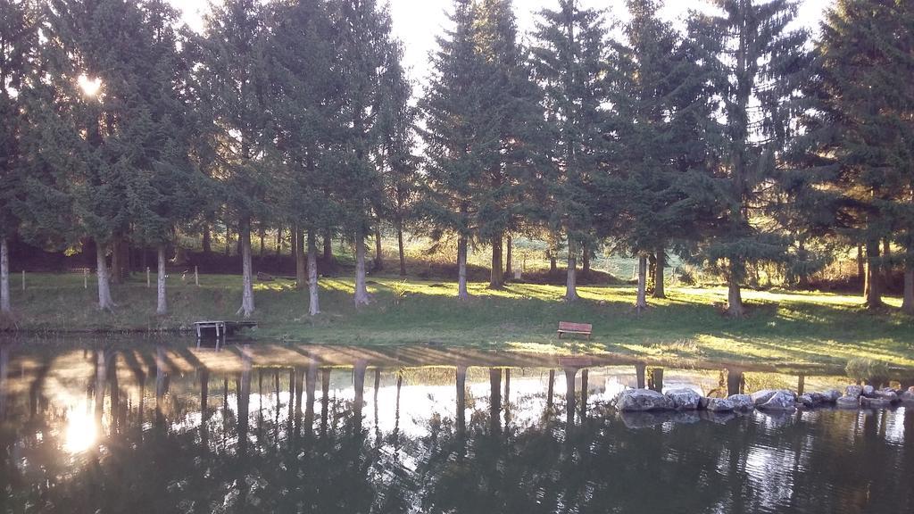 Hotel Camping De Flechat Orcival Zewnętrze zdjęcie