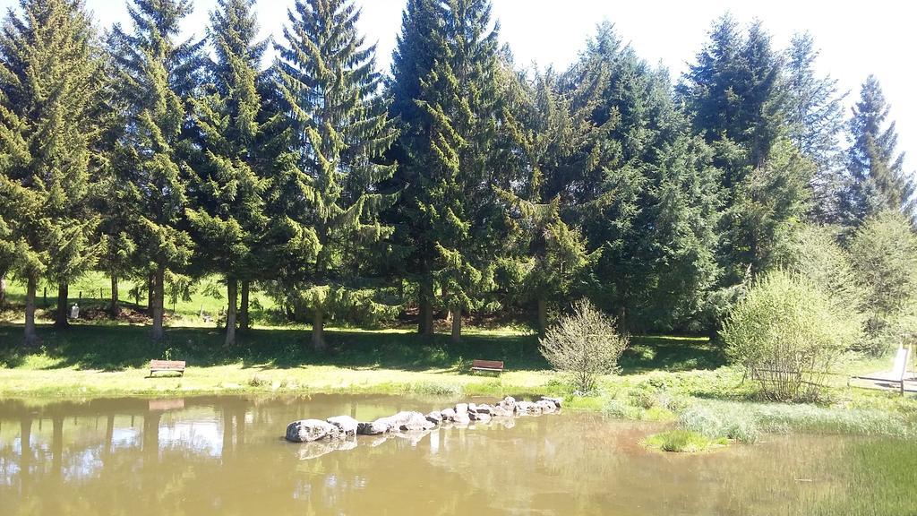 Hotel Camping De Flechat Orcival Zewnętrze zdjęcie